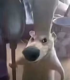1752748201934