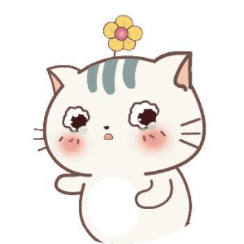 逍遥剑客小李飞刀