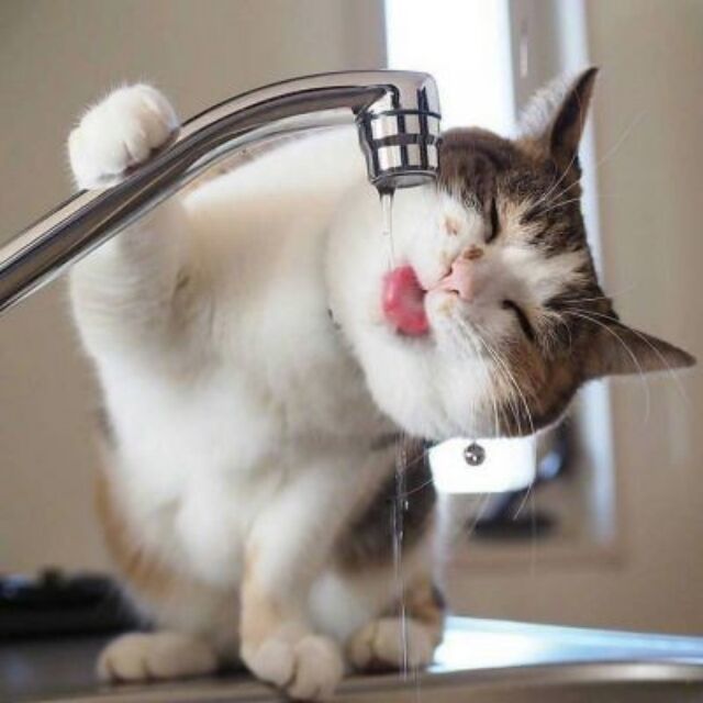 星际冒险家小李