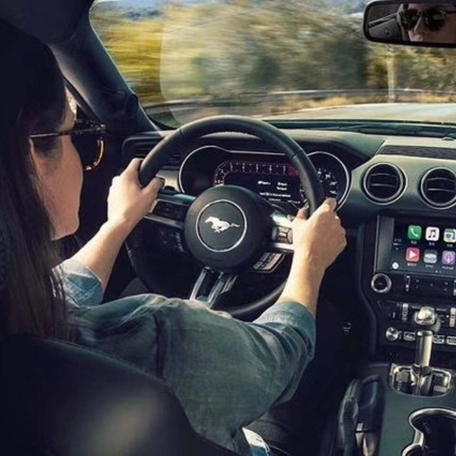 傲视群雄的剑客