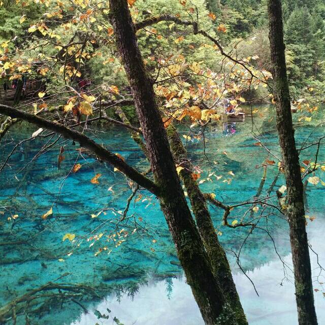 漫步星际的李白