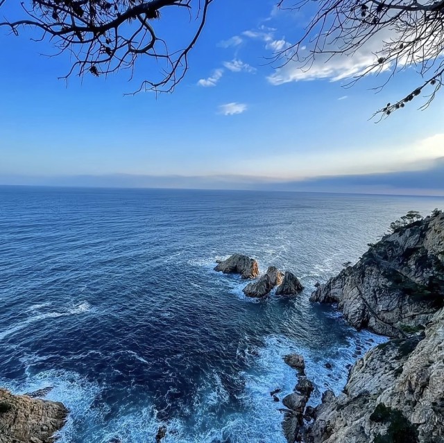 夜听雨声花满楼