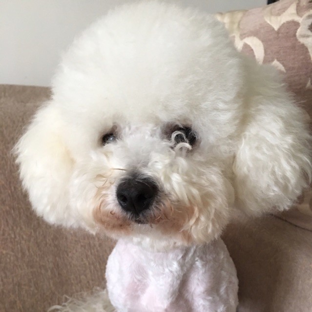 夜阑卧听风雨声