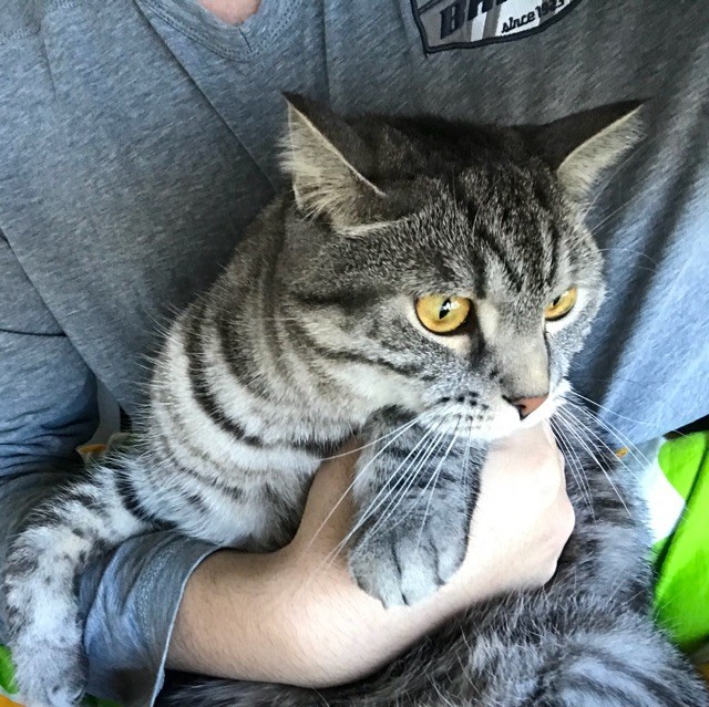 星辰大海上的船长