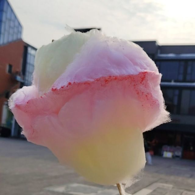 倚天屠龙记张无忌